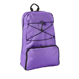 Kangaroo Omni Backpack Small Purple